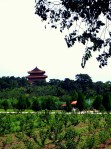 Qing Tomb Through&nbsp;Fields