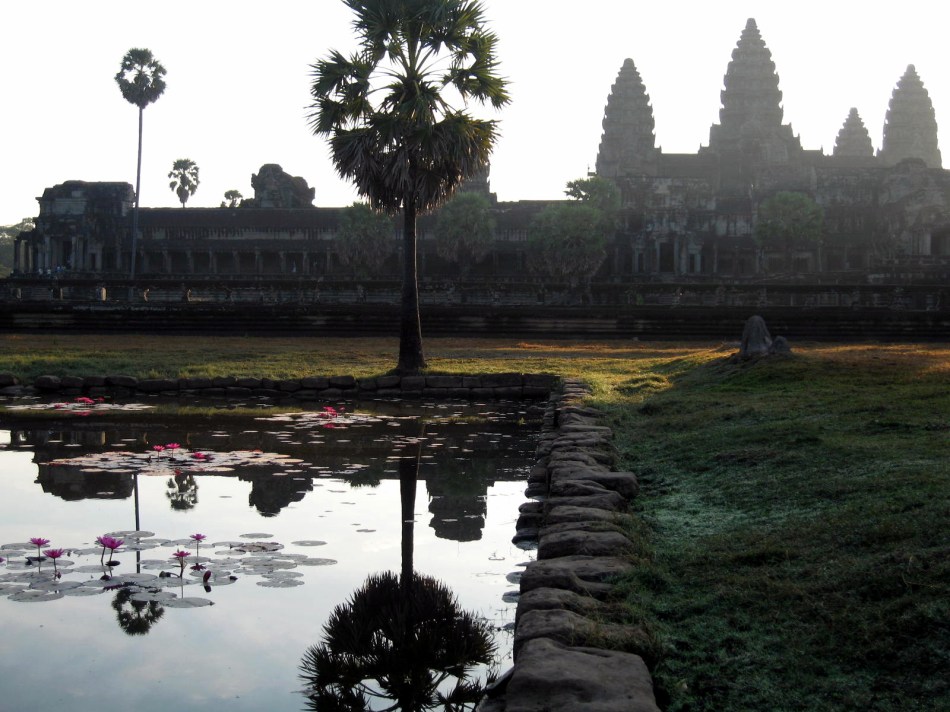 angkor-in-lily-pond-2