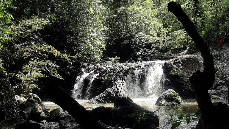 Mt Diamond Hike - Waterfall