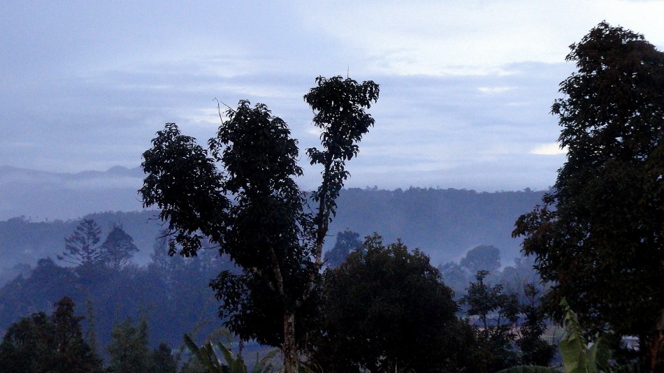 Hills and Mist - Tari Morning