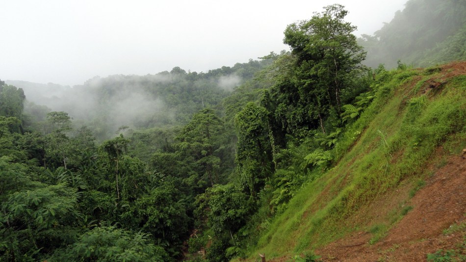 Land Slide Area - Bville
