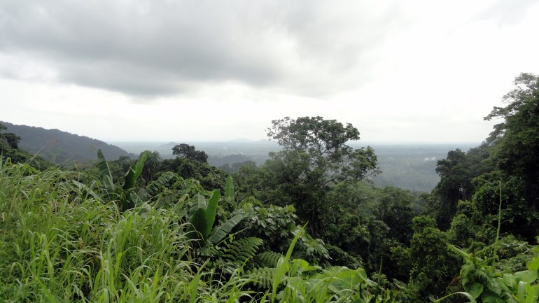Southern Bougainville Mtn Pass