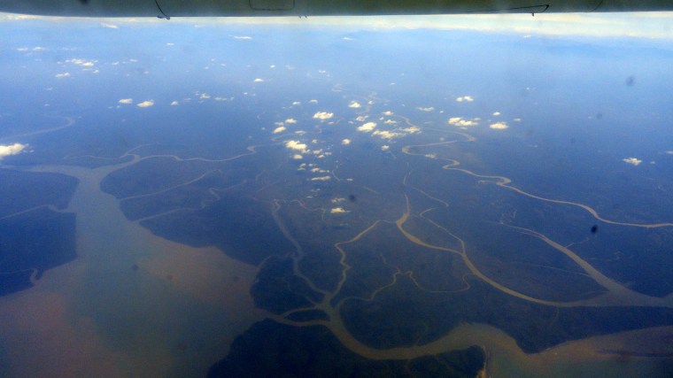 Rivers of Gulf State from Plane 2