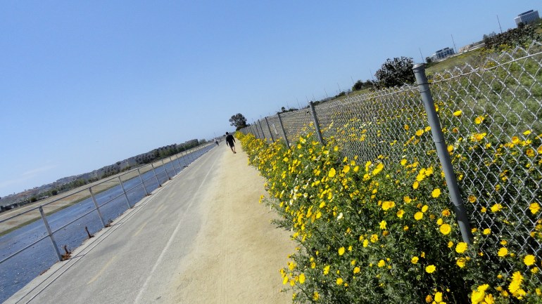 Ballona Creek Bike Path