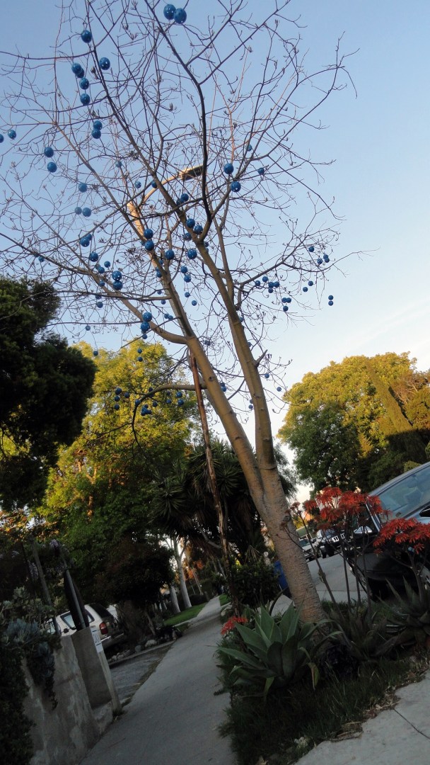 Venice - Decorated Tree
