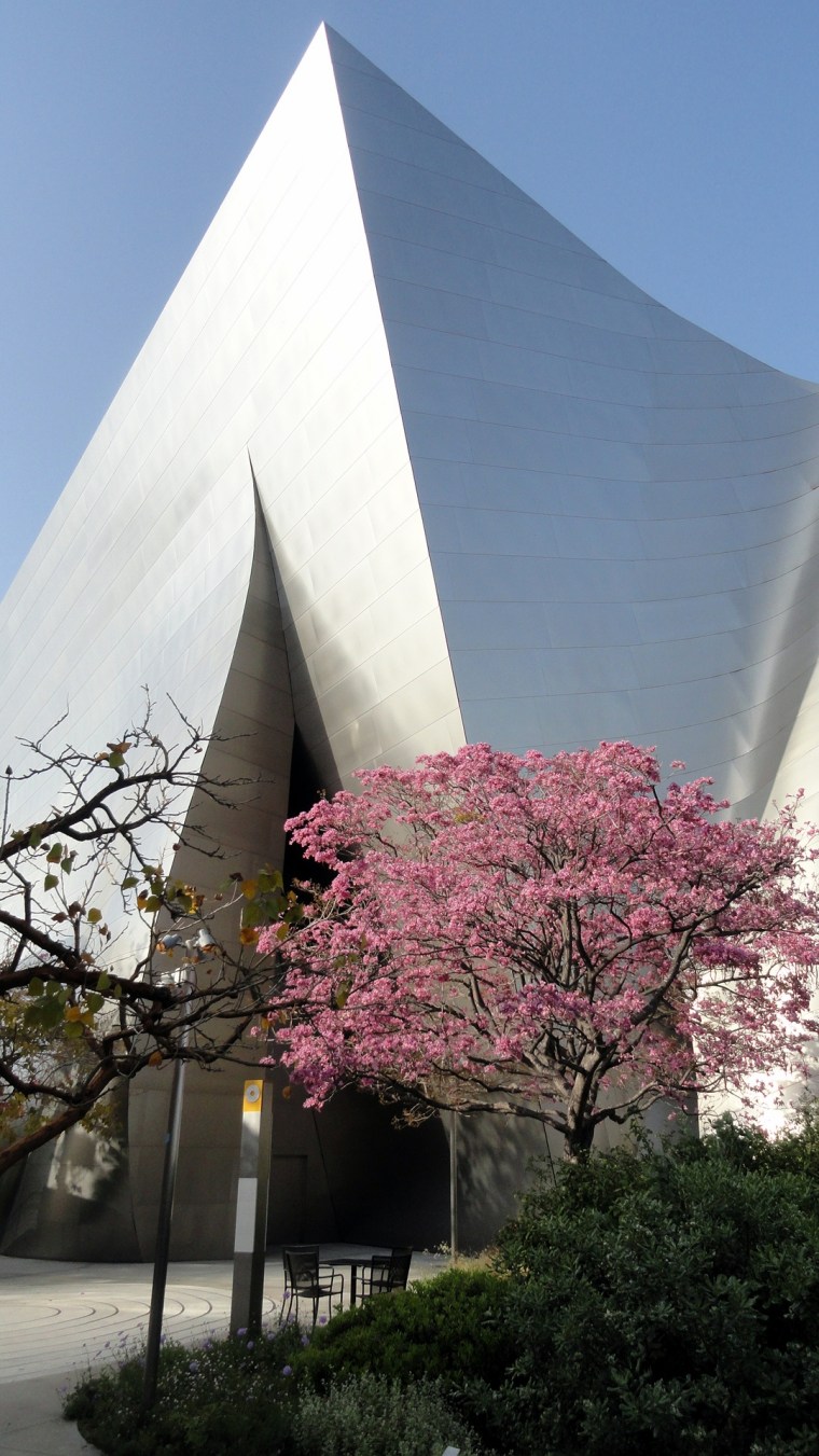 WDCH - Walls & Cherry 4