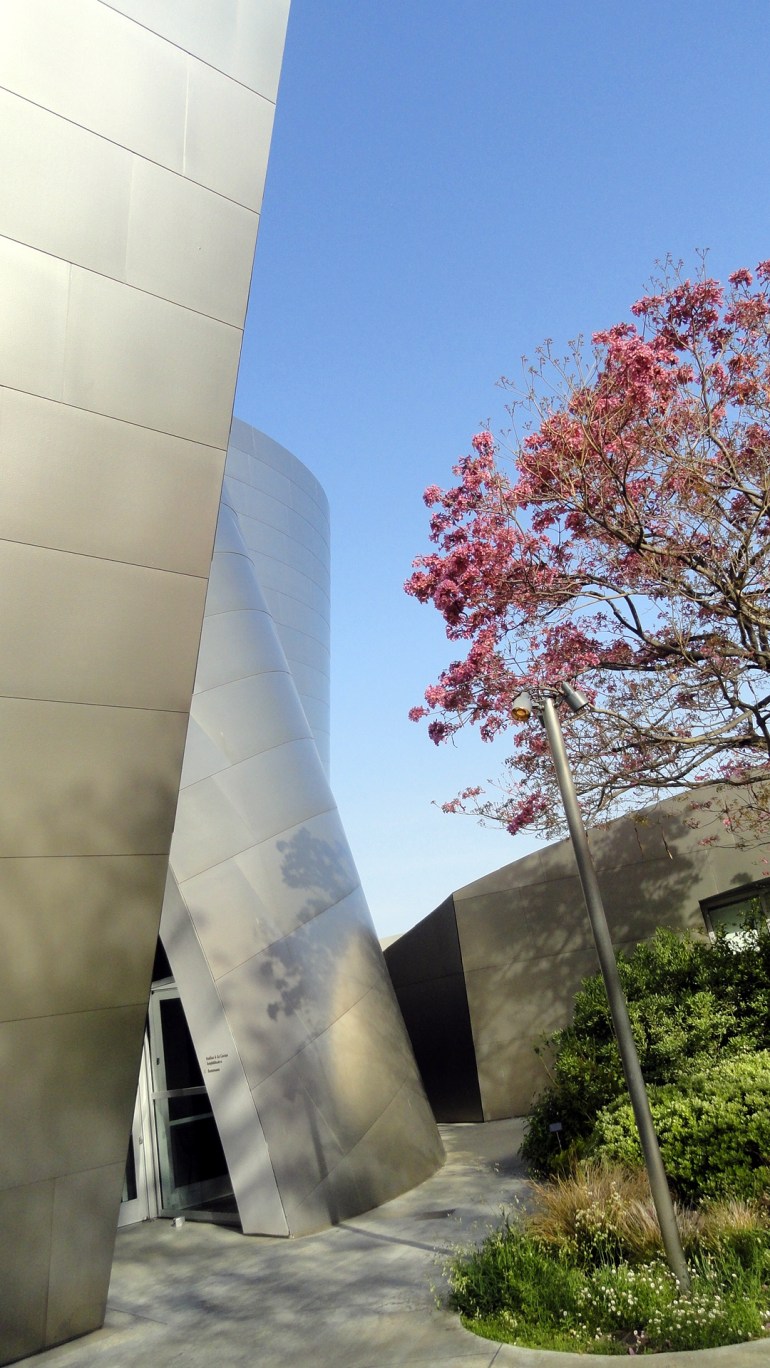 WDCH - Walls & Cherry Tree