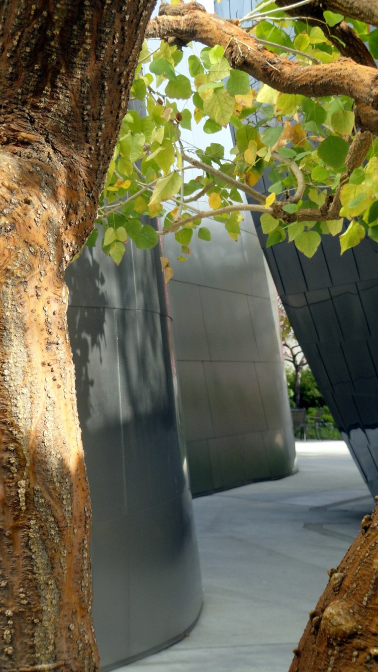 WDCH - Walls in Garden