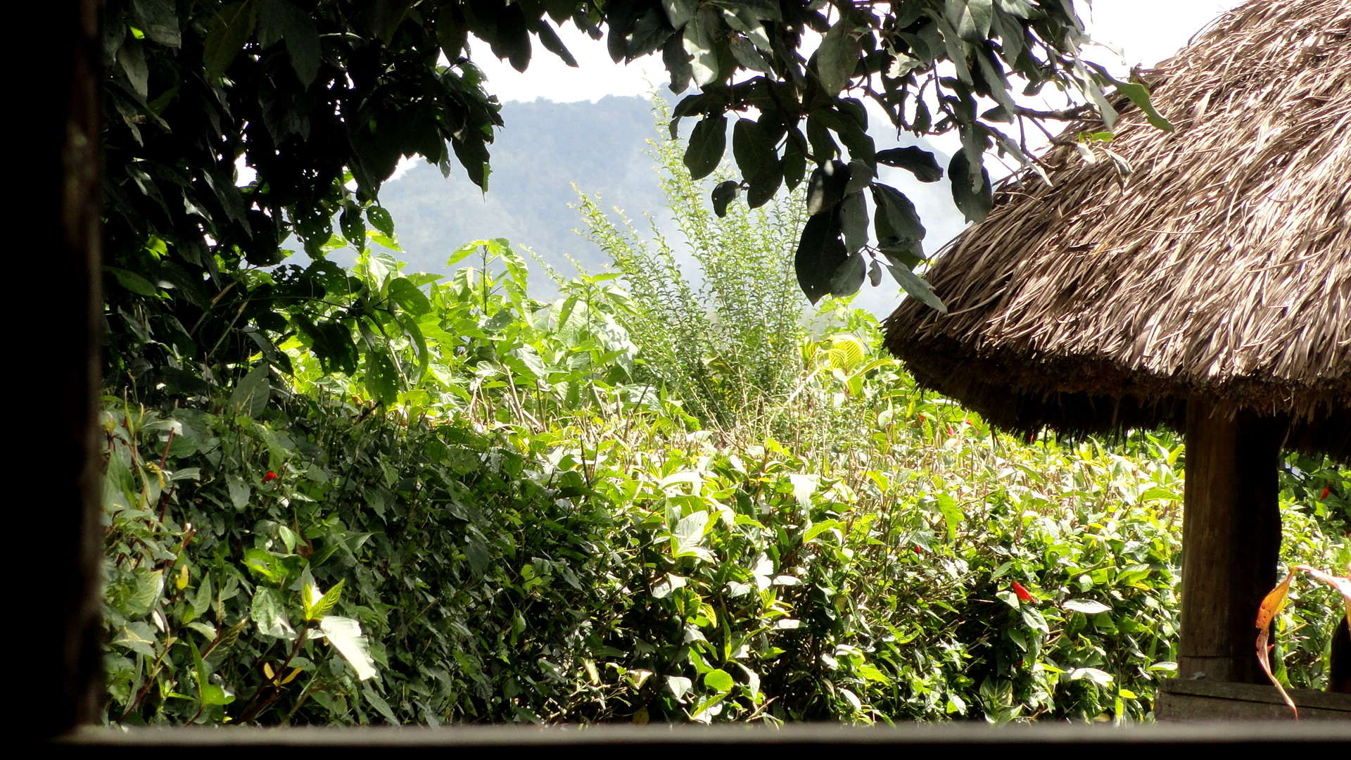 Airport - Tari - Waiting Area