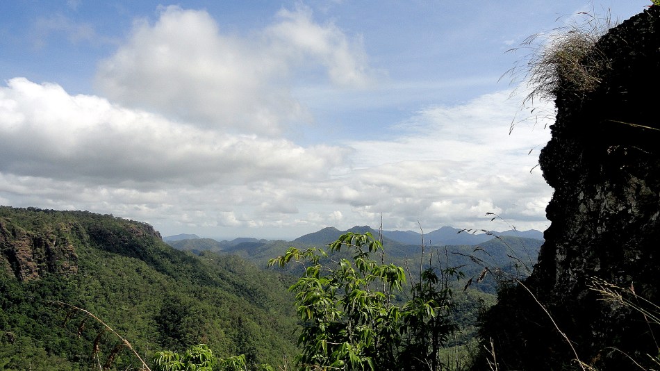 Cliff - Edge - Trees
