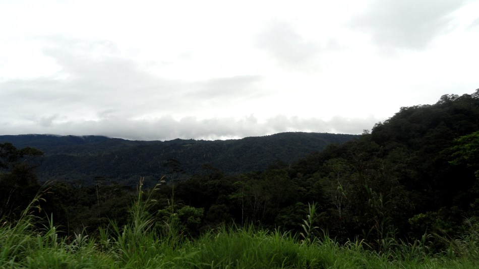 Hills by Komo LNG Site