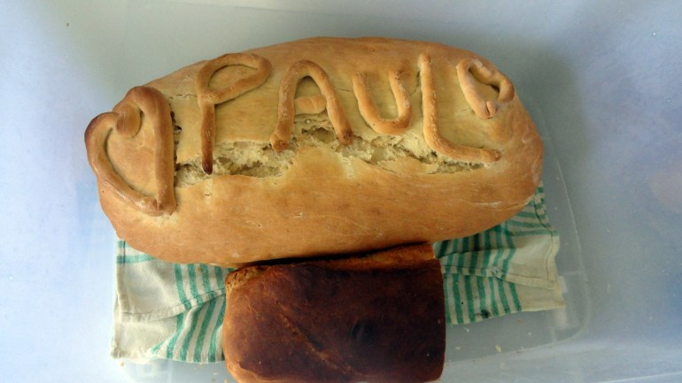 Paul Welcome to Tari