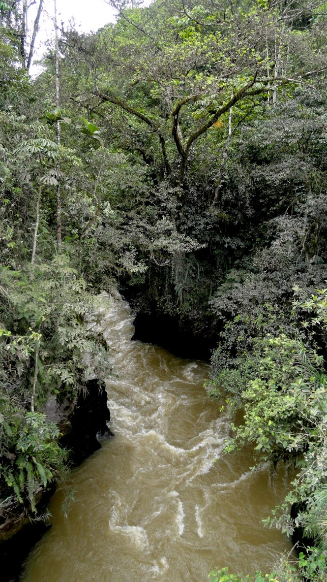 River from Bridge by Hides
