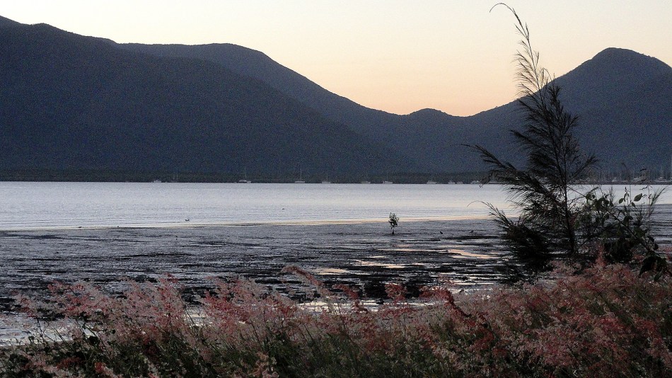 Cairns Beach AM3