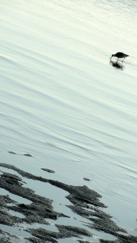 Cairns Beach Breakfast