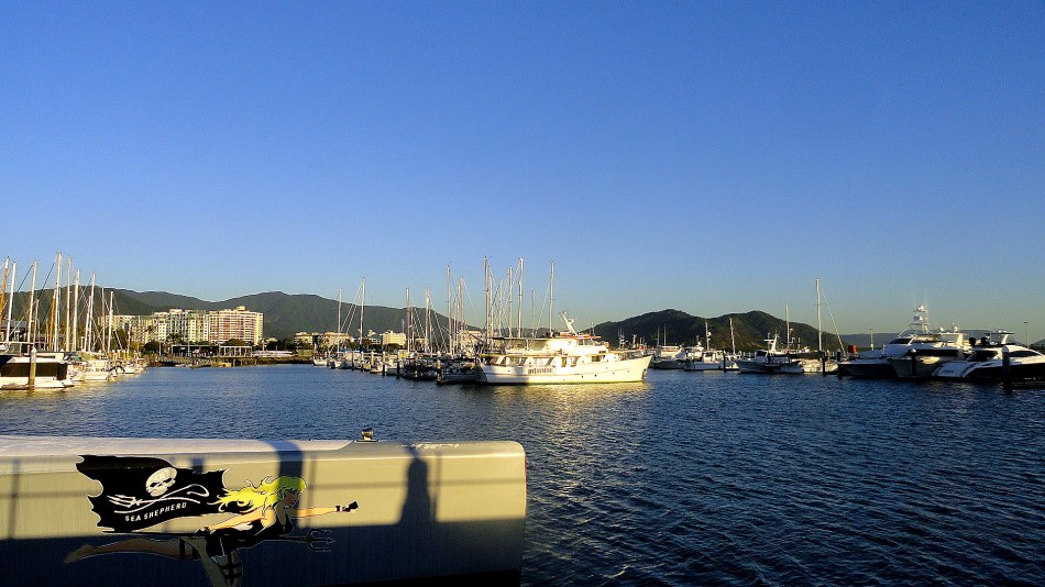 Cairns Marina & Mountains