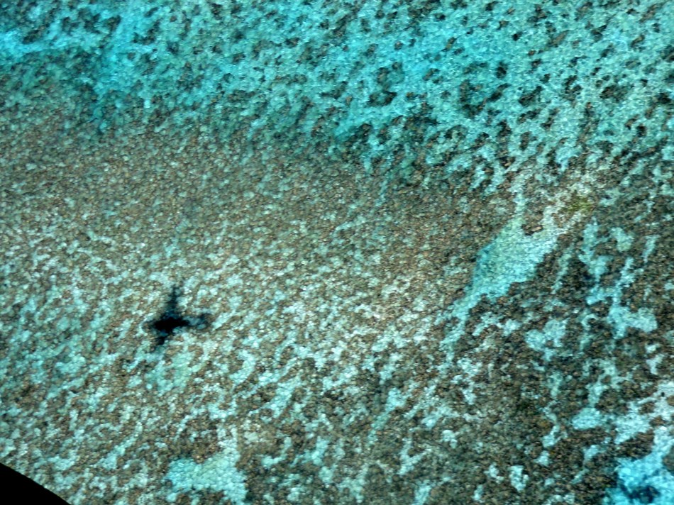 Over the Ribbon Reefs 6