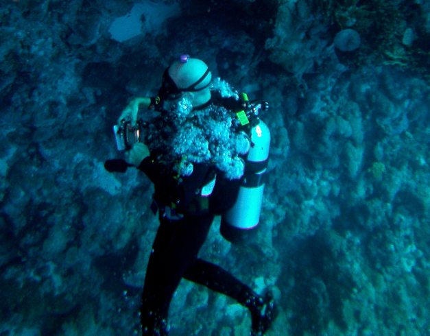 Paul the Photographer