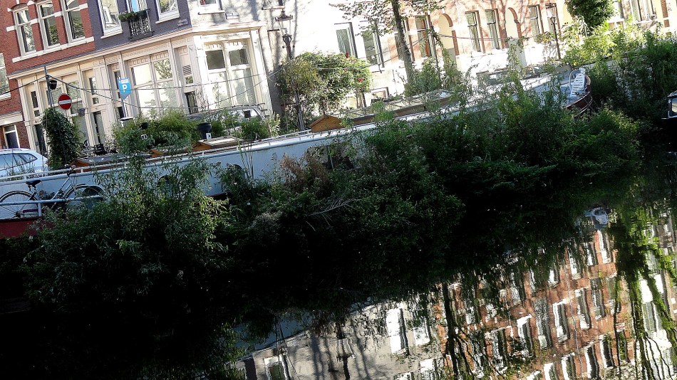 Canal Boat Hiden by Plants