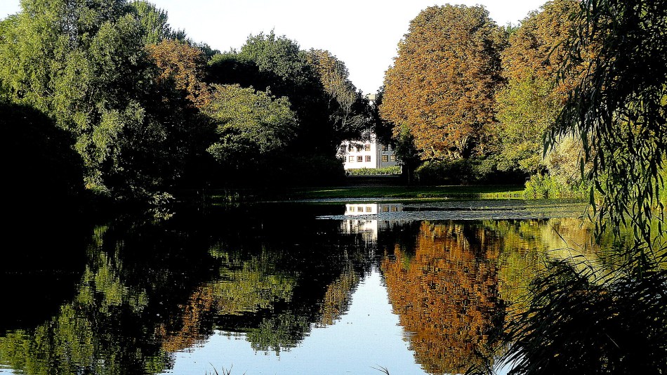 Morning in Flevopark