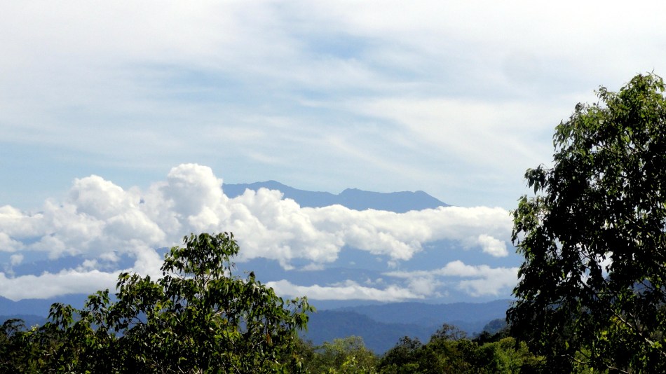 Mtns & Clouds on Plantation Hike