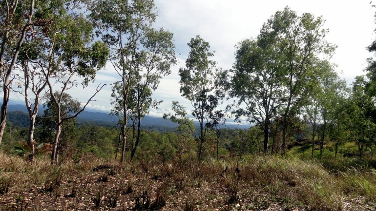 Plantation Hike - Dry Season