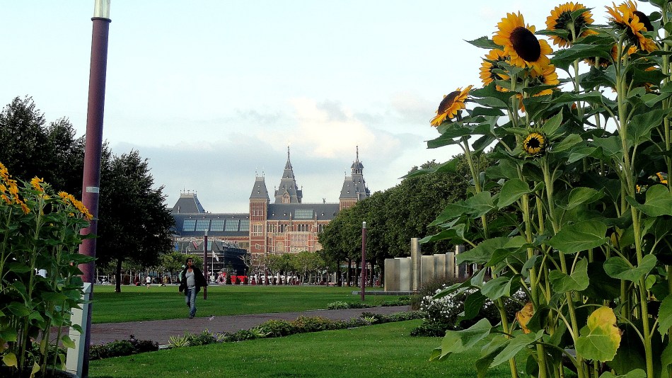 Rijksmuseum & Sunflowers