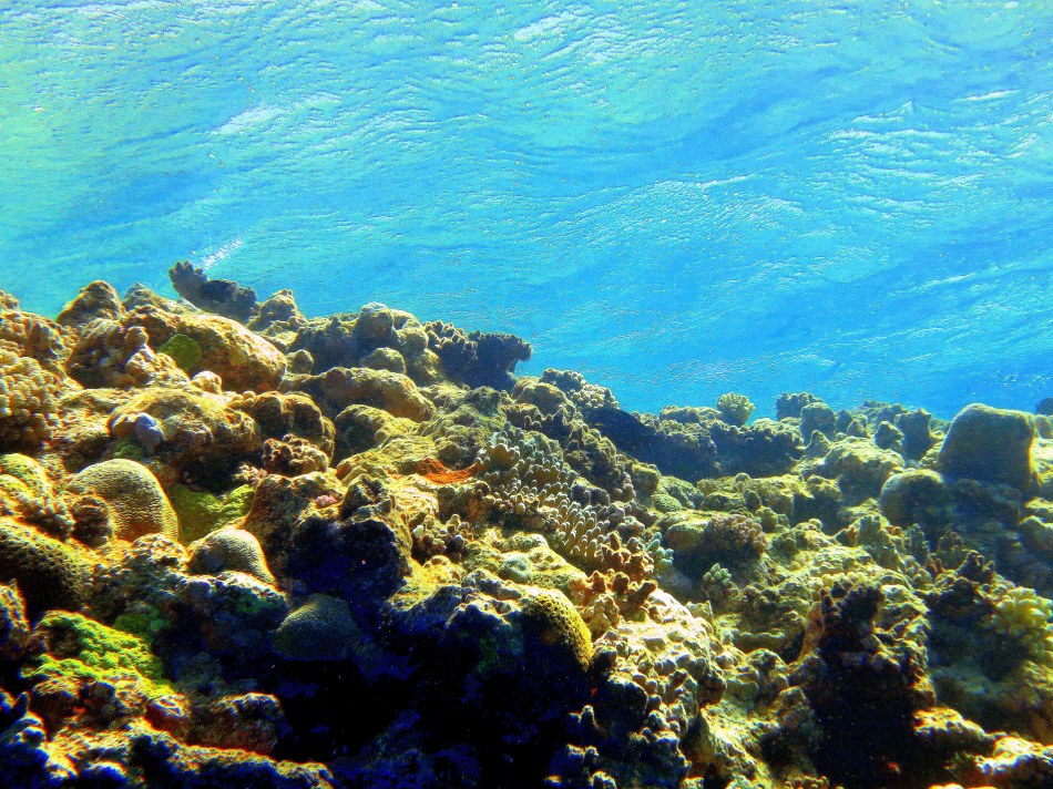 The Shallow Blue Sea