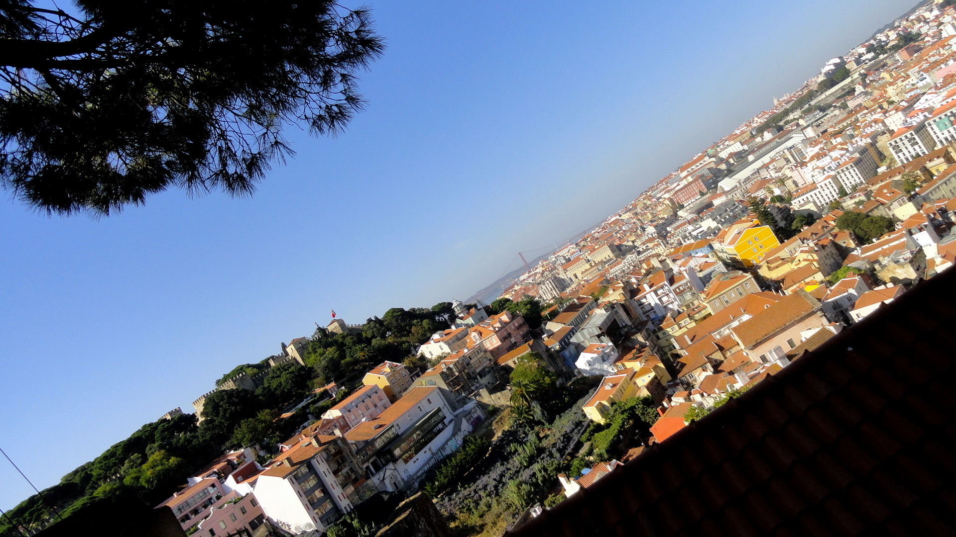 Castelo & Bridge from Graca