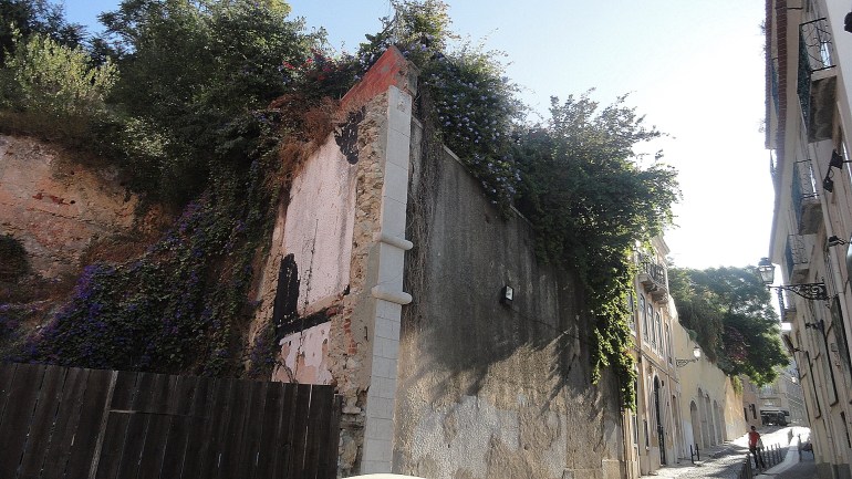 Castelo Overgrown Lot & Steet