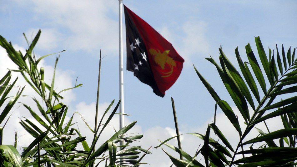 Parlt House - Big Flag