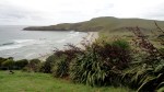 Otago Peninsula Yellow Penguin&nbsp;Beach