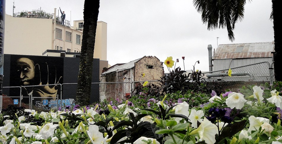 Man in the Sky-Street Art-Pansies