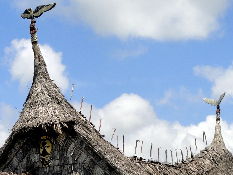 Pagwi Guesthouse Roof