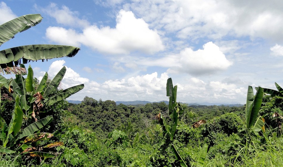 Mountain Vista from Road