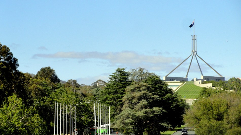 Parlt House Coat Hanger