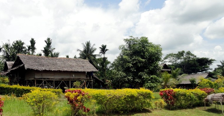 Roadside House & Hedge