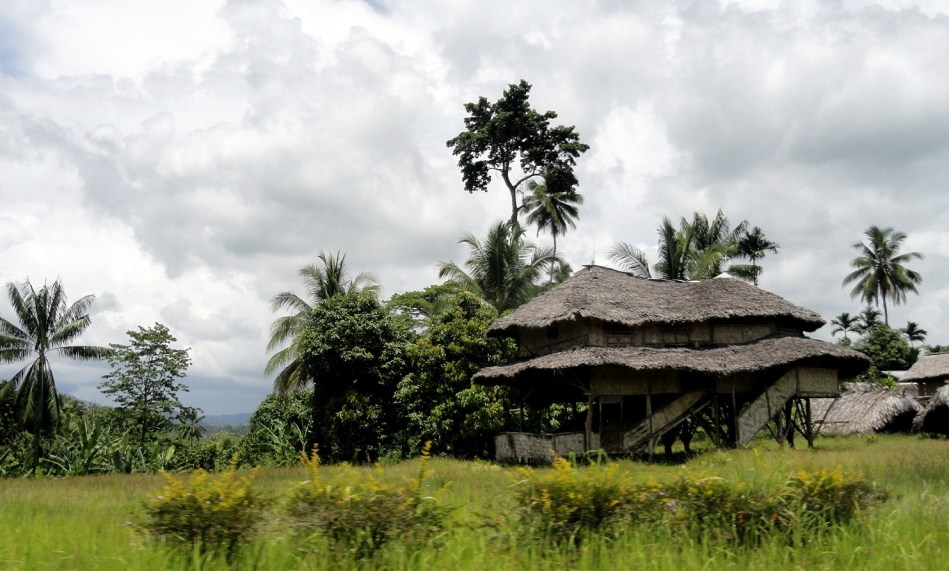 Roadside House & Yard