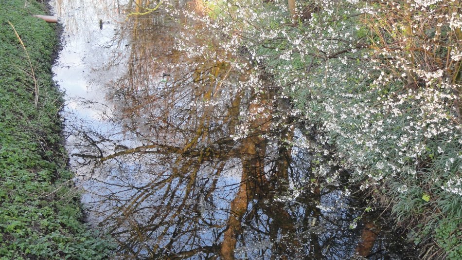Reflections in a Moat