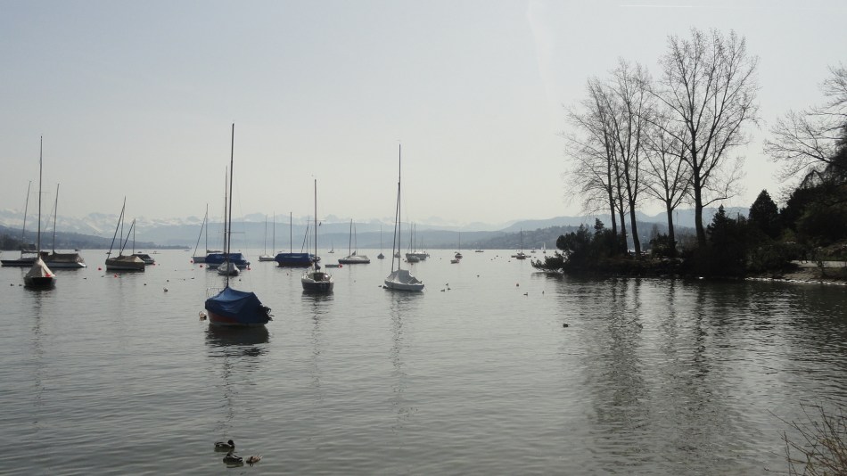 Lake Zurich - Mtns - Boats