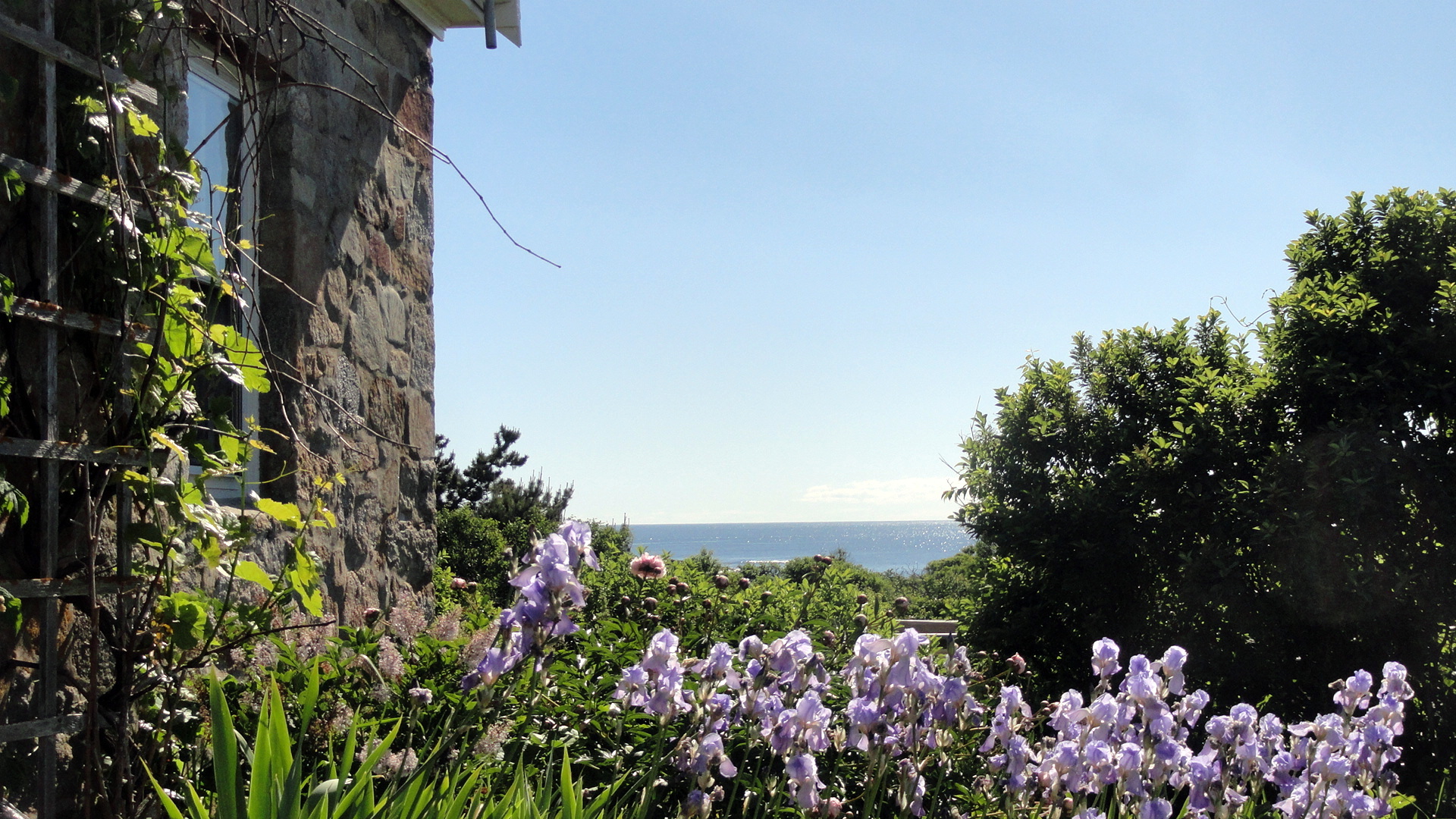 Blue Iris - Stone House - Coastal Horizon