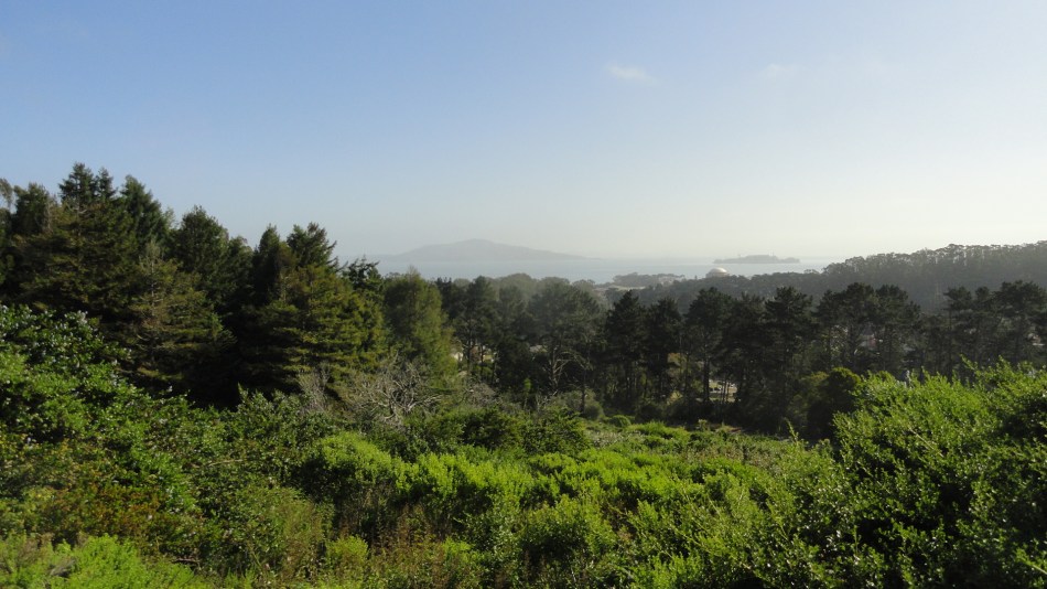 Angel & Alcatraz from Presidio