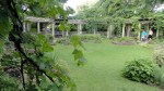 Eastman House Arbor