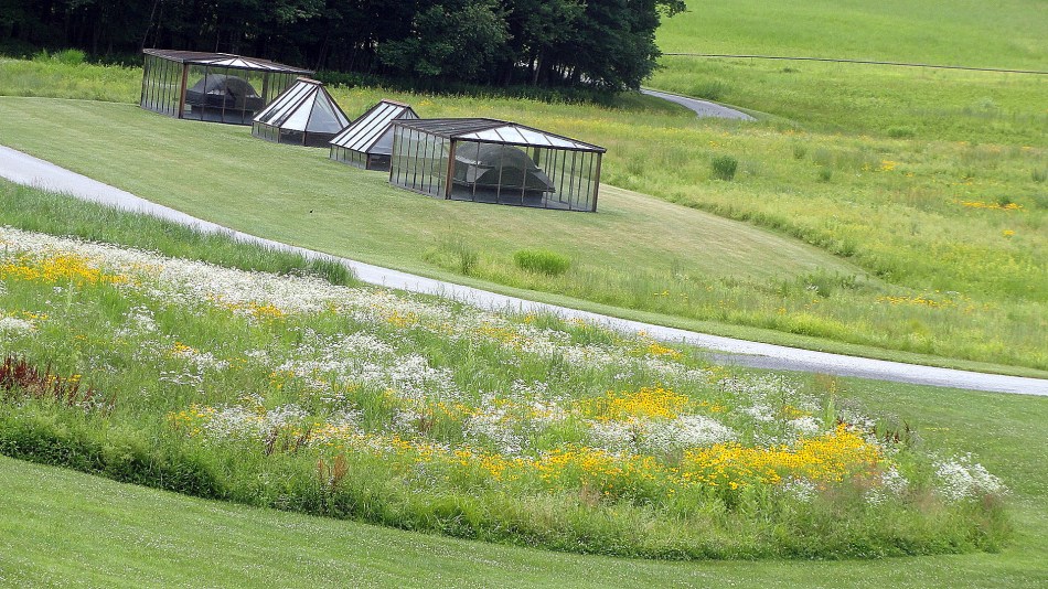 Storm King Sculpture &  Wildflowers