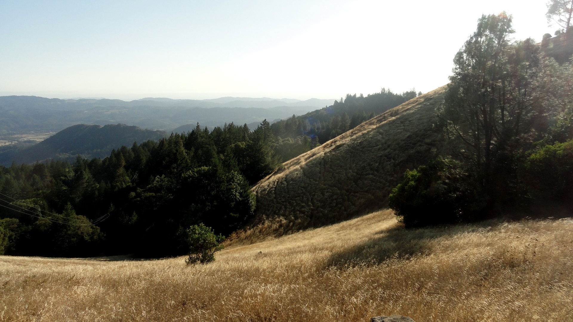 Grassy Field 3 Palisades Trail