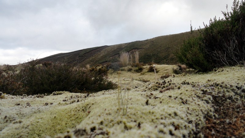 Landscape on Lower Tongariro Crossing Trail