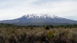 Ruapaehu 5