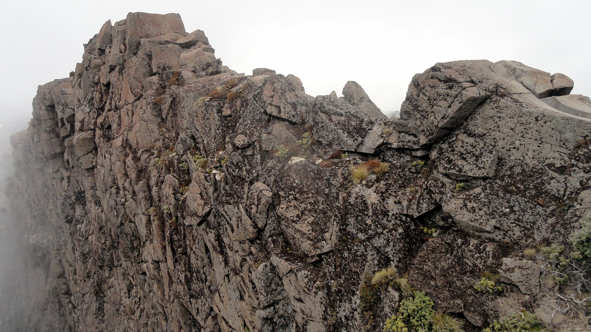 Ruapehu Rock Wall - Lichen - Mist