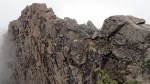 Ruapehu Rock Wall – Lichen –&nbsp;Mist