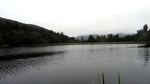 Foggy Lake Matheson&nbsp;View